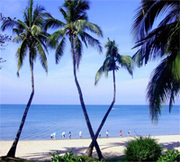 洋浦国际航运大厦